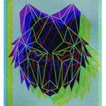 Group Neox