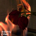 CYNIC