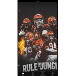 Bengal fans