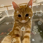 Lil hearts;!