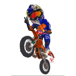 the motocross fangroup