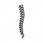 The spine al Gang