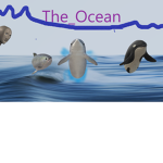 The_Ocean