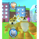 Doge group AND OLNY DOGES