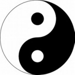Yin Yang Squad