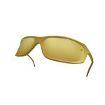 Swagster's glasses