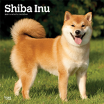 shiba donate