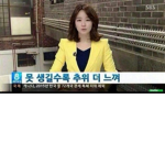 기부니 좋아요