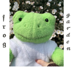 -our lovely frog garden-
