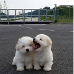 -Friend_Group-