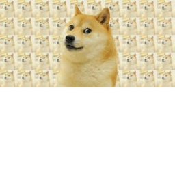 Doge Drifterz
