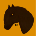 Sunflower Stable’s