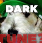 Fans de DarkTune