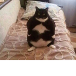 ChonkersFRRRR youtube group