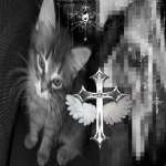 Celestial Nova UGC Group Thumbnail