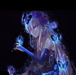 Butterfly boom