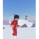 IDK PLS