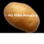 ~my little Potato‘s