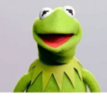 Kermit studio’s