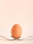 The Eggnists