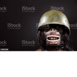 C.A. army