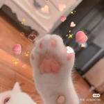 Kawaii's Friends! <3