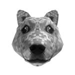 Disco Doge