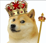 THE DOGE A.R.M.Y