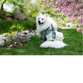 shooting in the house