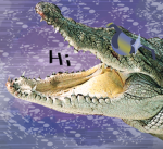 Gatorshade