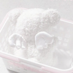 ୨୧ feminine