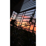Aesthetic spam
