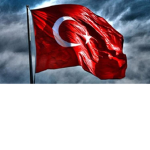 Türk Roblox Grubu