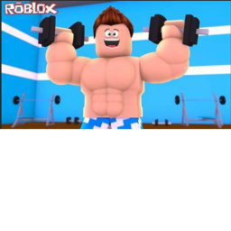 MUSCLE SIMULATOR