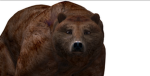 Ais-r doges