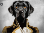 La secte des dog mo bi le