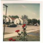 ｖｉｎｔａｇｅ ｖｉｂｅ