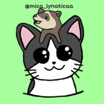 los lynaticos