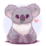 Kirra's koala's