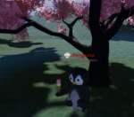 Pingüinos con スノー