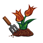 Tulip's Productions