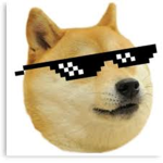 extreme doge team