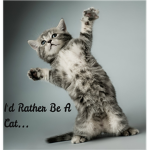 I'd rather be a cat.