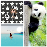 Panda_Layan Fan Club