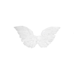 ˚