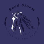 ~ Sand Storm Academy ~