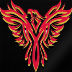🔥Team-Phoenix🔥