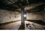 xander's basement