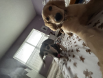 SISTERS!!!!!!!!!!!!!!!!!!!!
