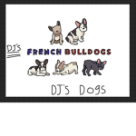 DJ’s Frenchie Friends